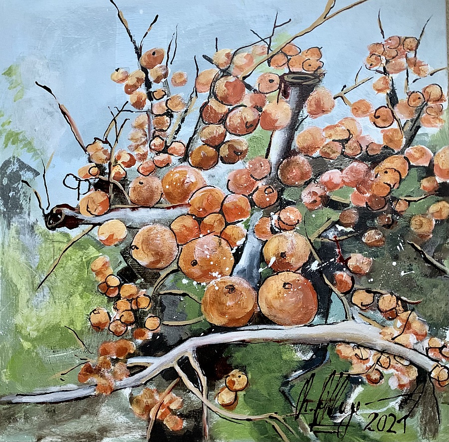 Zauber Natur Sanddorn